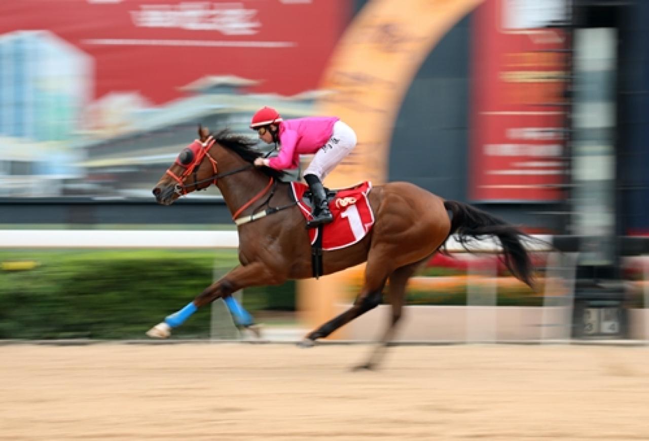 Macau’da düzenlenen TJK Koşusu’nu Armed kazandı