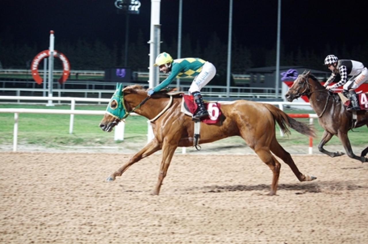 Çukurova Üniversitesi Rektörlüğü Koşusu'nu Mind And Life kazandı