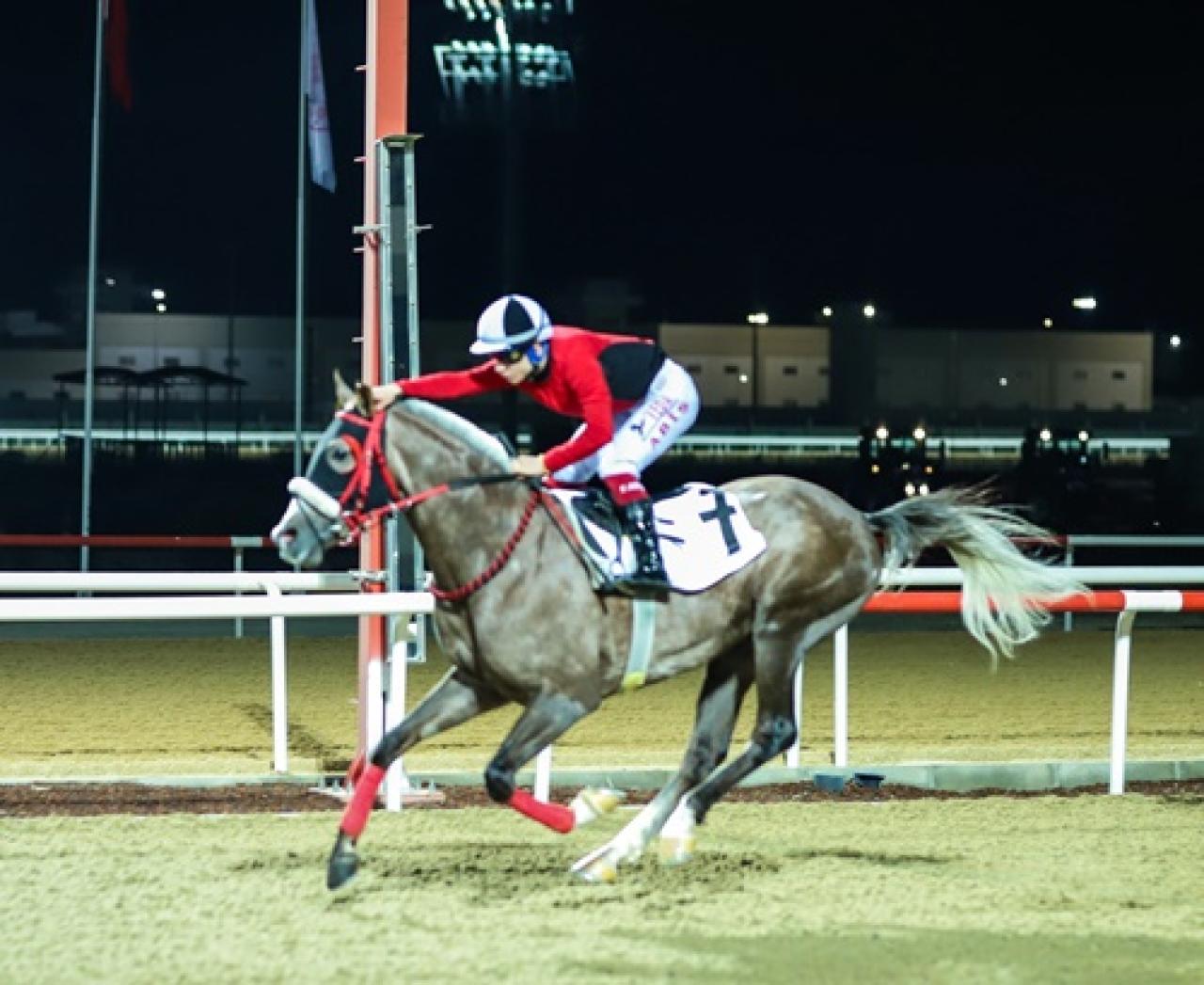 Antalya’da düzenlenen G3 koşuda birinciliğe Canko uzandı