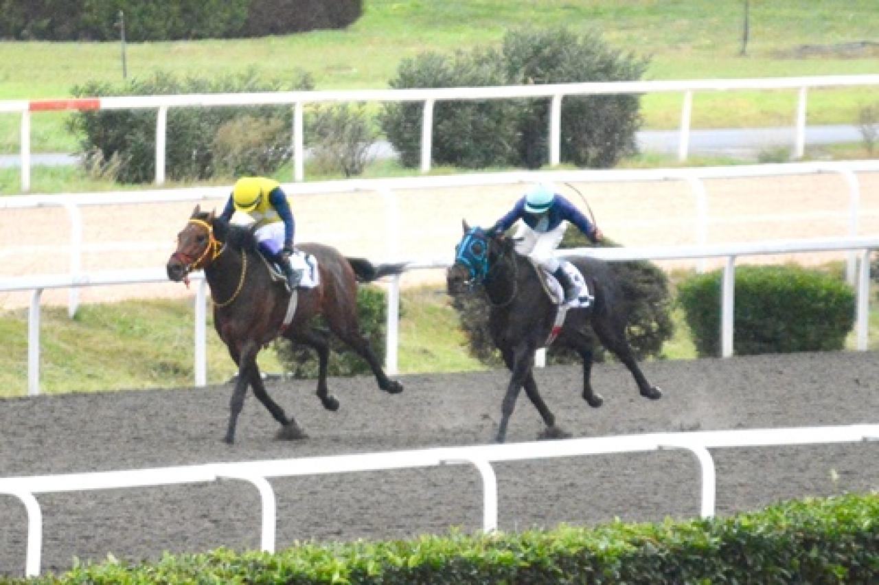 İstanbul'da düzenlenen A2 koşunun galibi Oğlum Doruk oldu