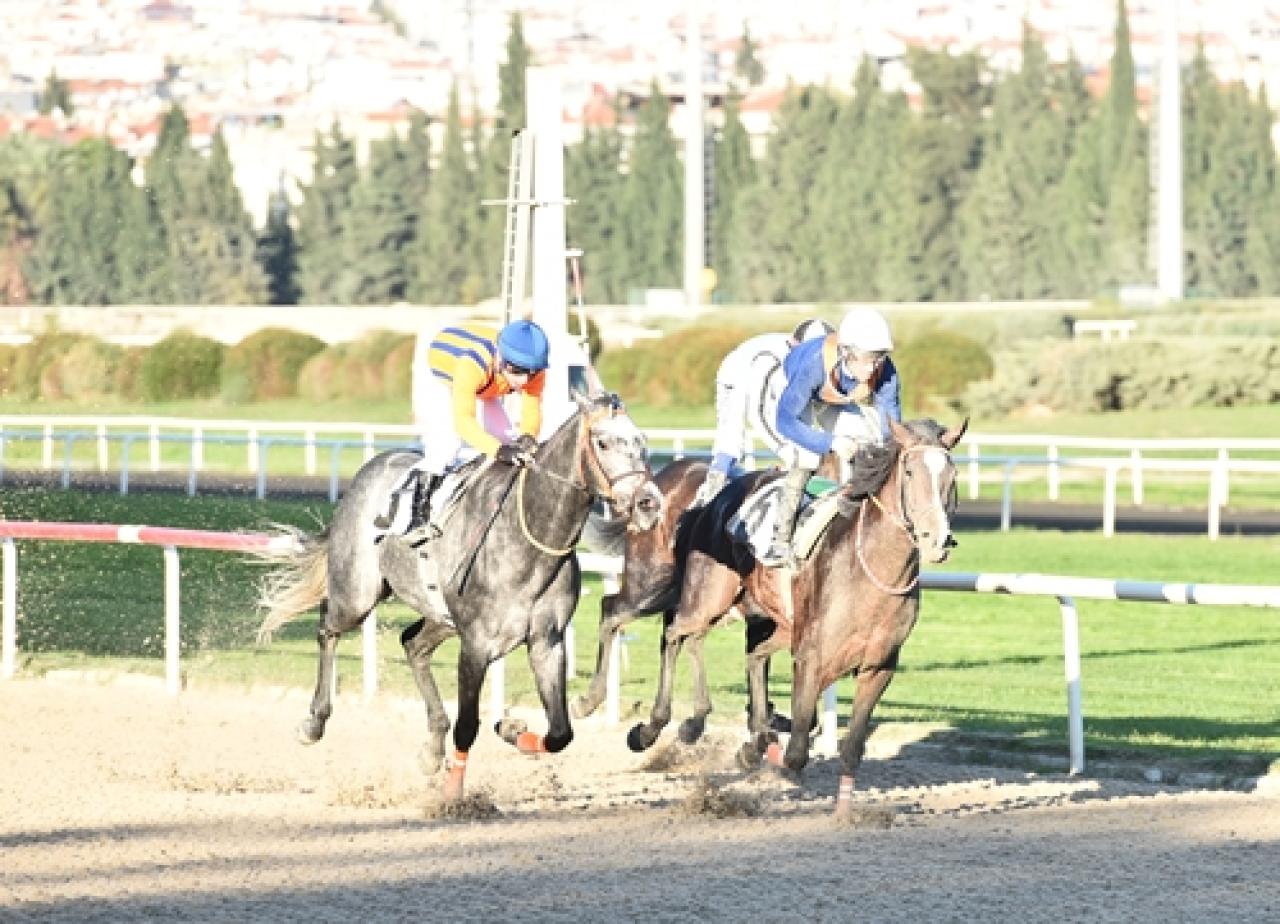 Kubilay Koşusu'nu Dragon Fire kazandı