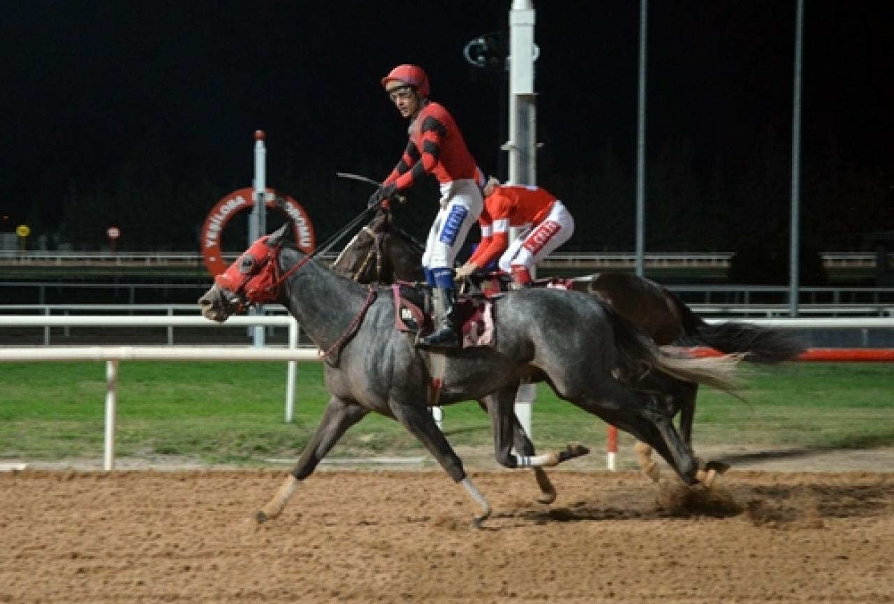İbrahim Özekici Koşusu’nda galibiyete ulaşan Oğuzun Rüyası oldu