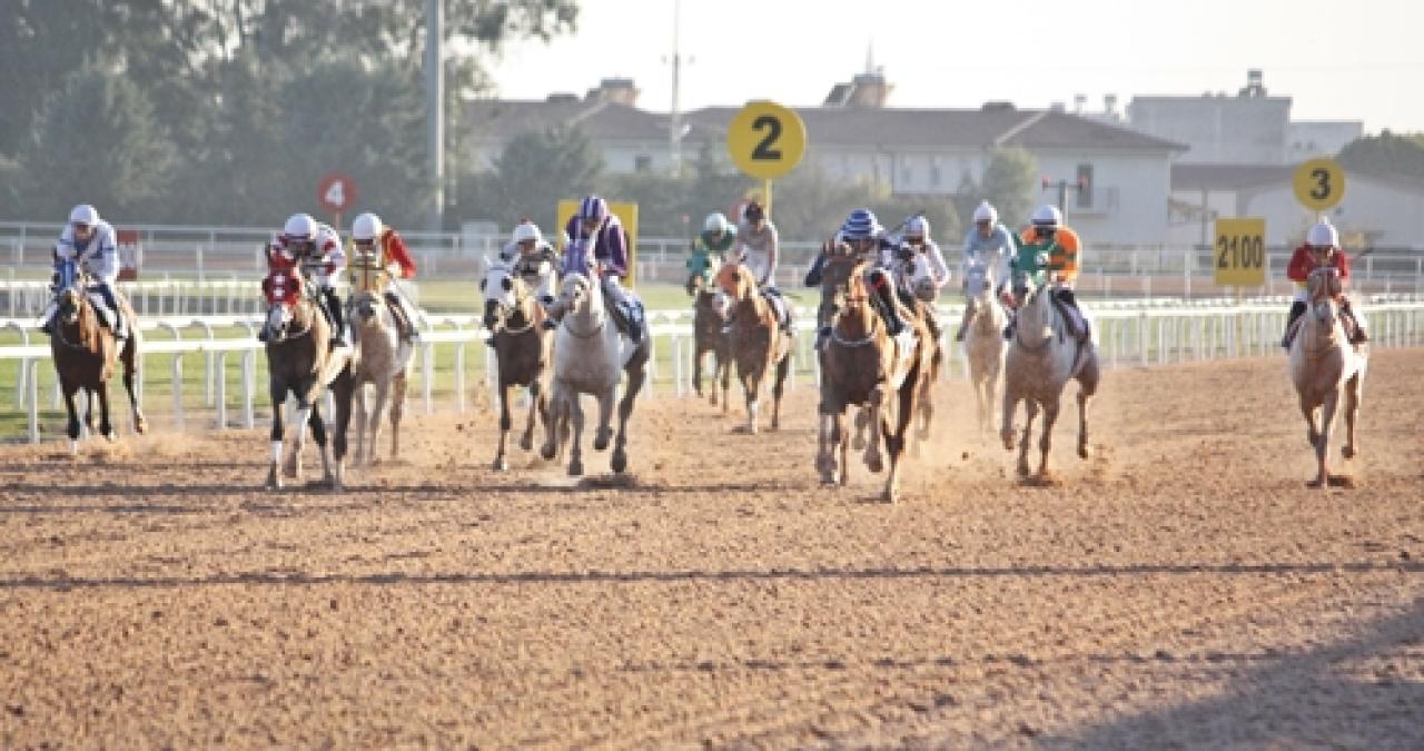 Adana'daki G3 koşuyu Canımkardeşim kazandı