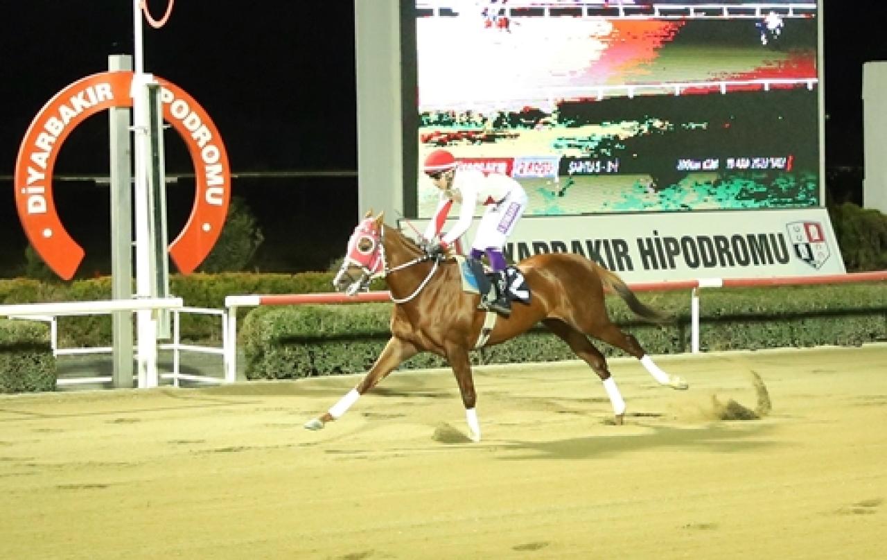 Bismil Kaymakamlığı Koşusu’nu Chain Breaker kazandı