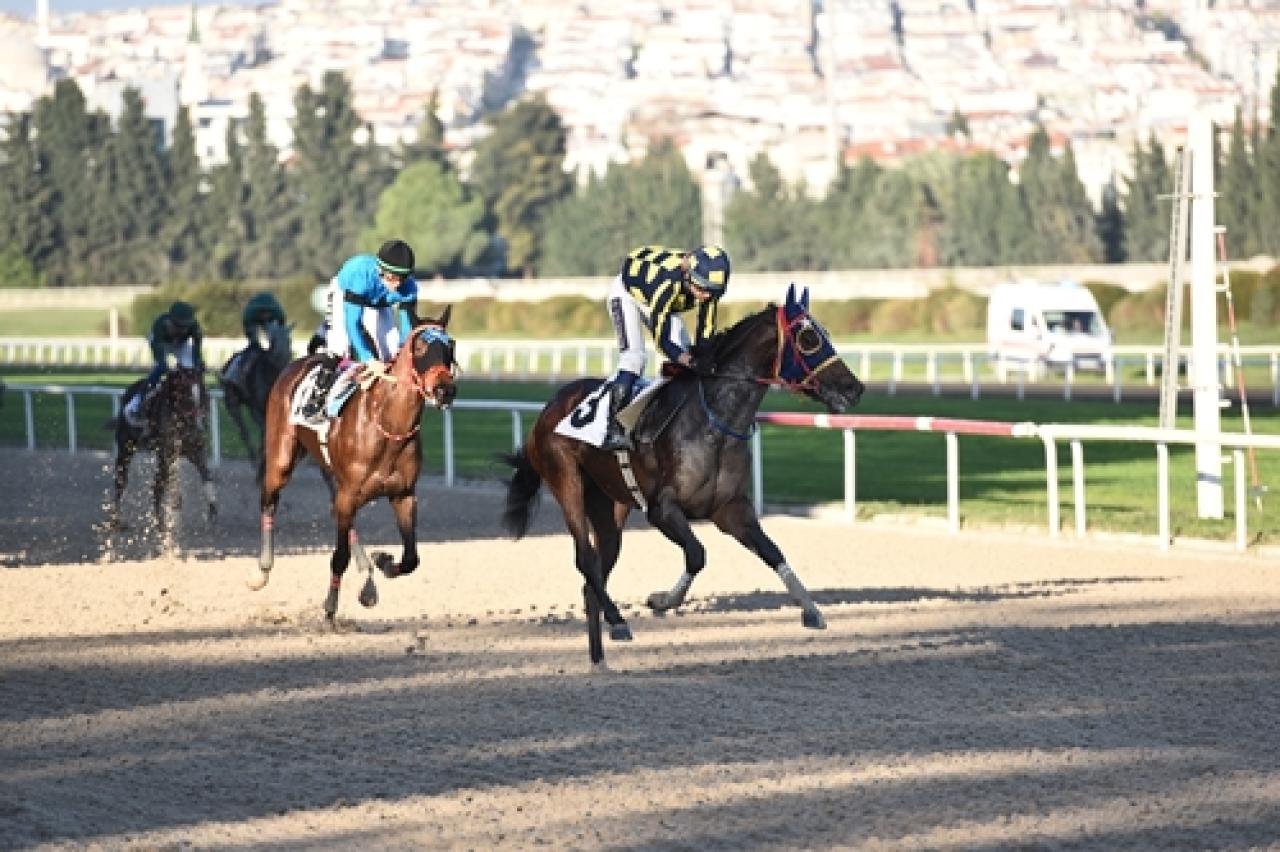 Piri Reis Koşusu’nda galibiyete Dapper Man ulaştı