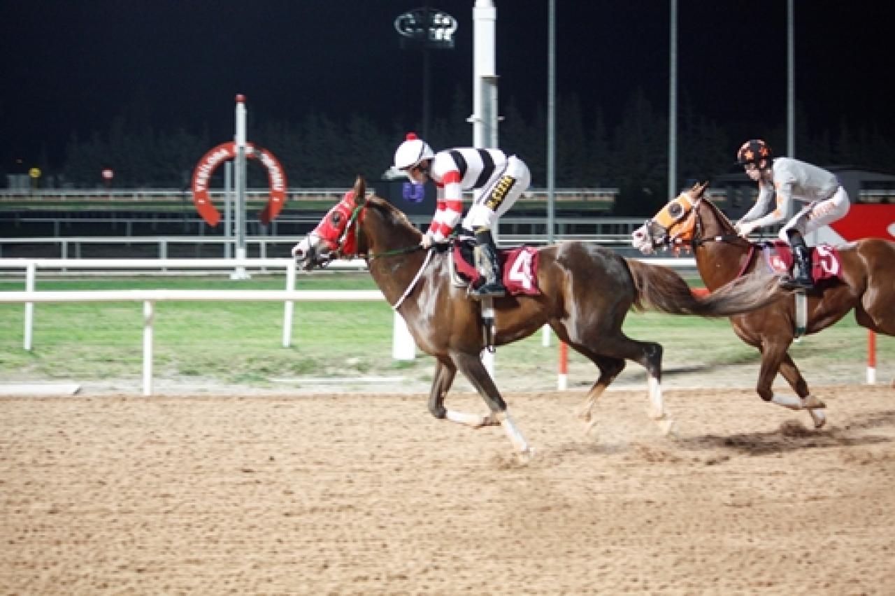 Ömer Caf Koşusu’nu Hedbe kazandı