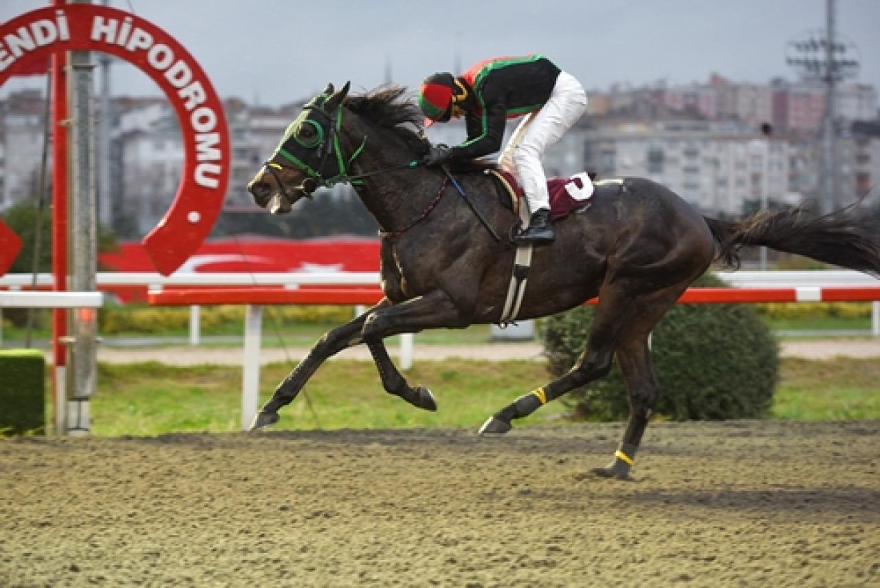 Mehmet Akar Koşusu’nda galibiyete ulaşan Timelord oldu