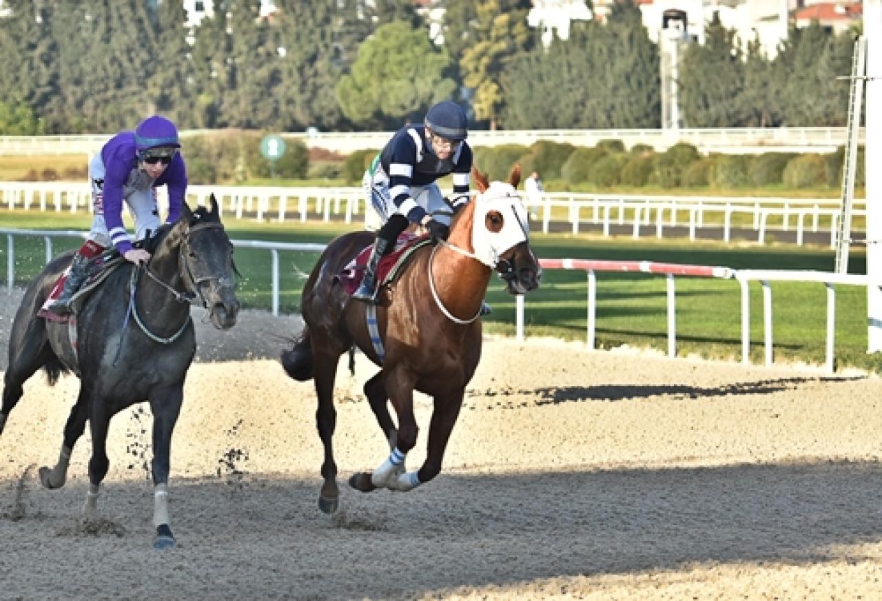 Merhum Asli Üyemiz Francesco Sponza'yı saygıyla anıyoruz