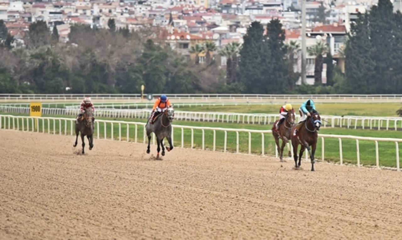 Francesco Sponza Koşusu'nu Mavi Kılıç kazandı