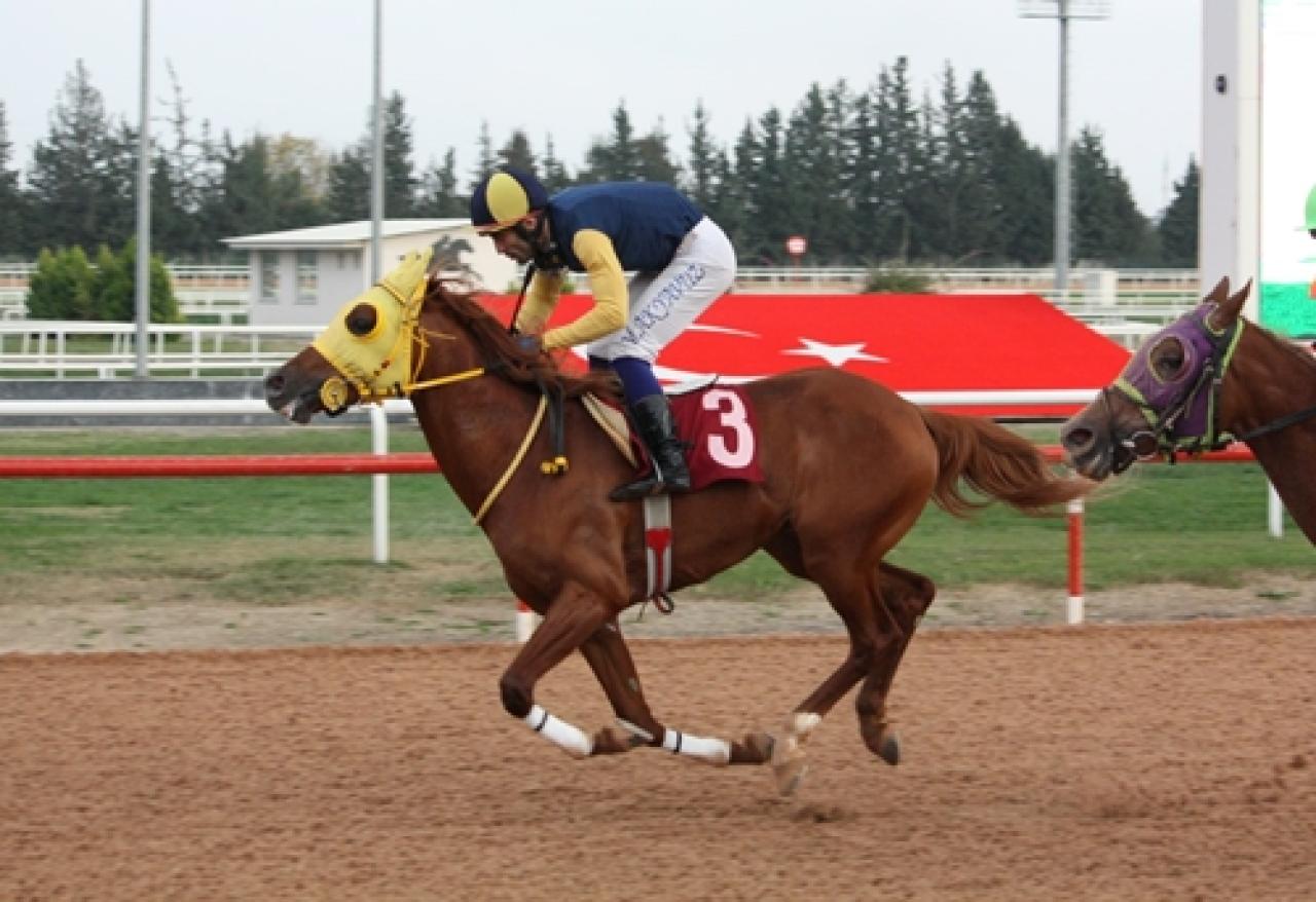 Seyhan Belediye Başkanlığı Koşusu’nda galibiyet Doğan Kardeşler’in oldu