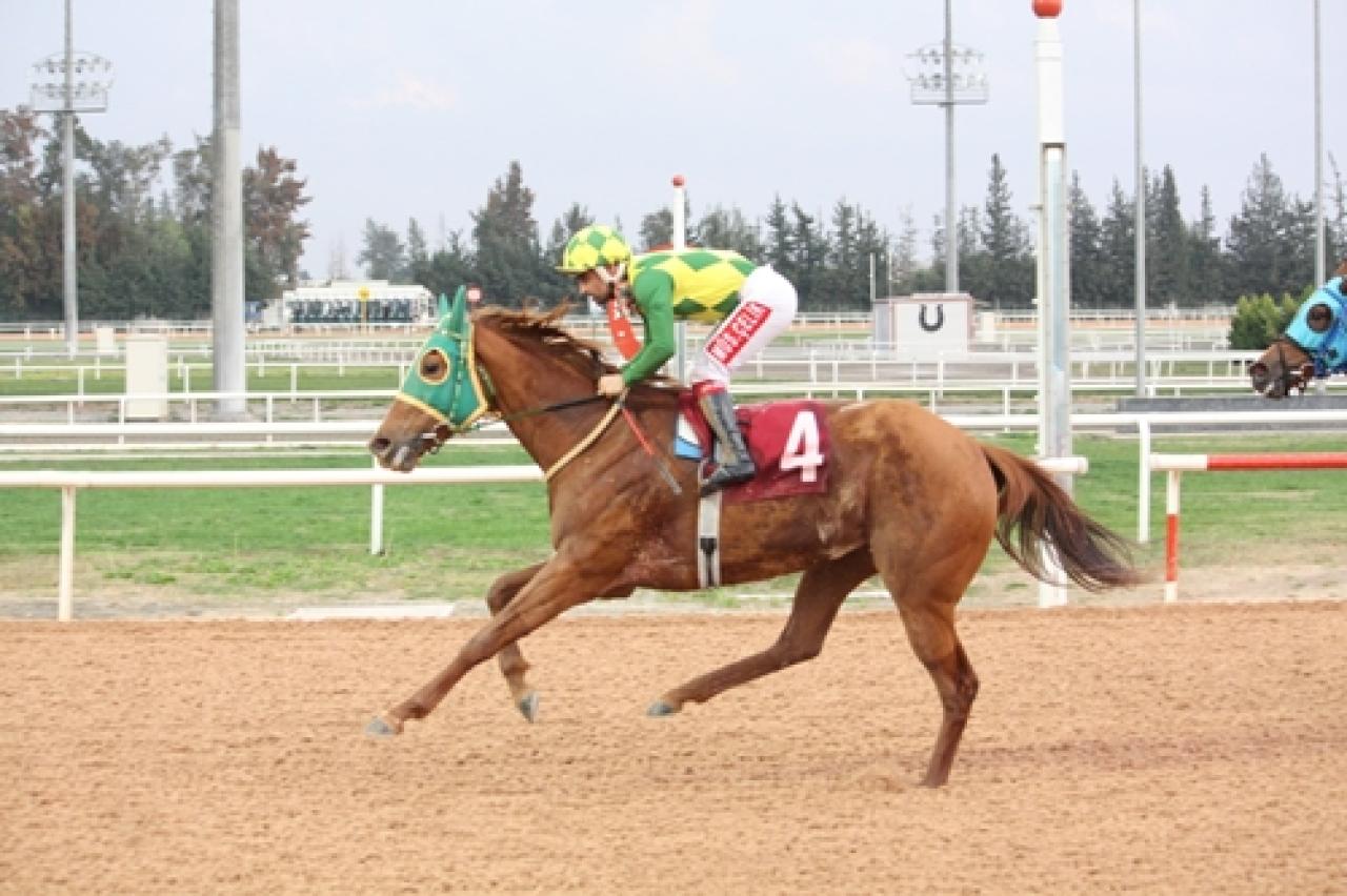 Ali Karabucak Koşusu'nu Mind And Life kazandı