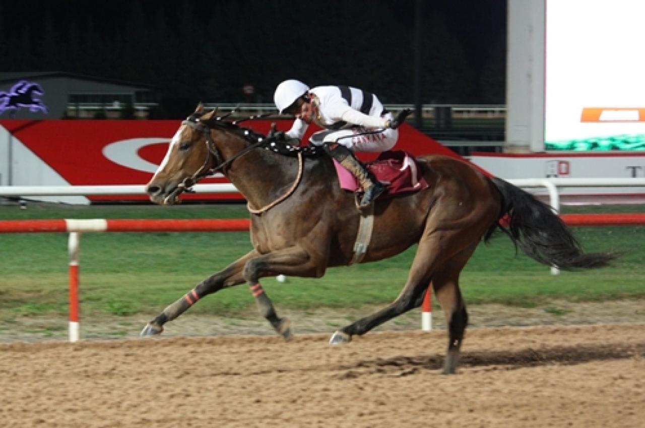 Halis Kökbudak Koşusu’nu Flash Bang kazandı