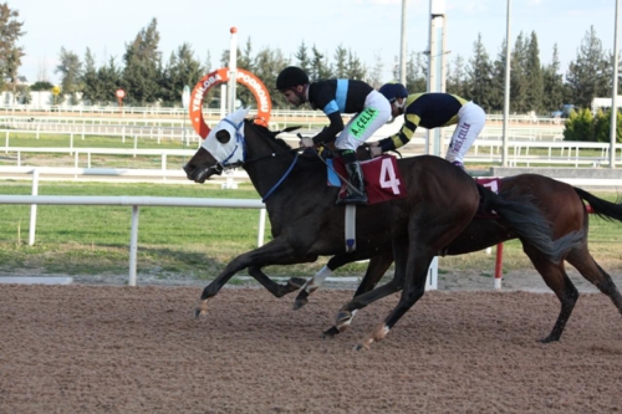 Tema Vakfı Koşusu'nu Knight Of The Road kazandı