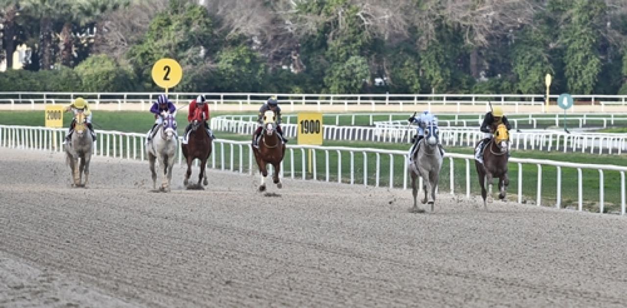 Hasan Tahsin Koşusu'nu Rüzgardahan kazandı