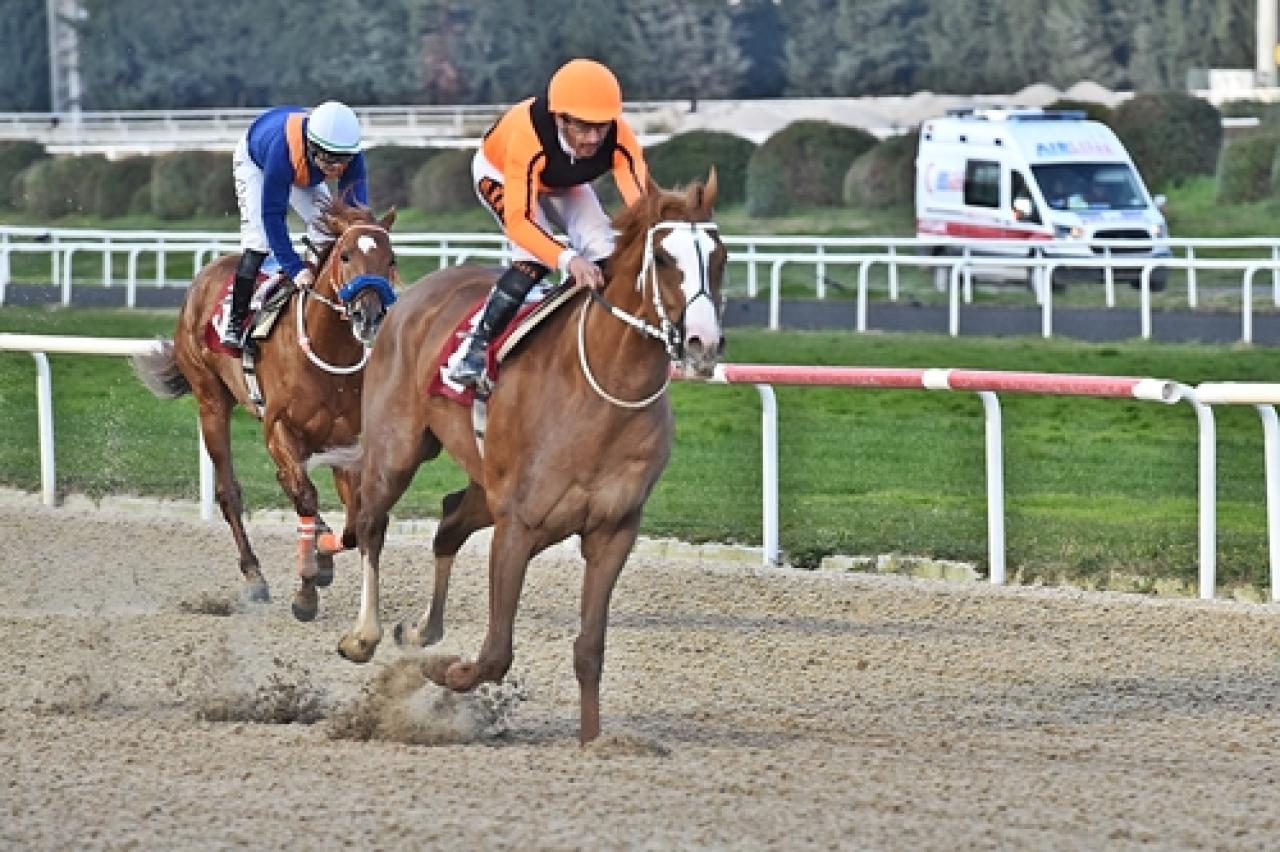 Şencan Fotocan Koşusu'nda kazanan Wardenclyffe oldu