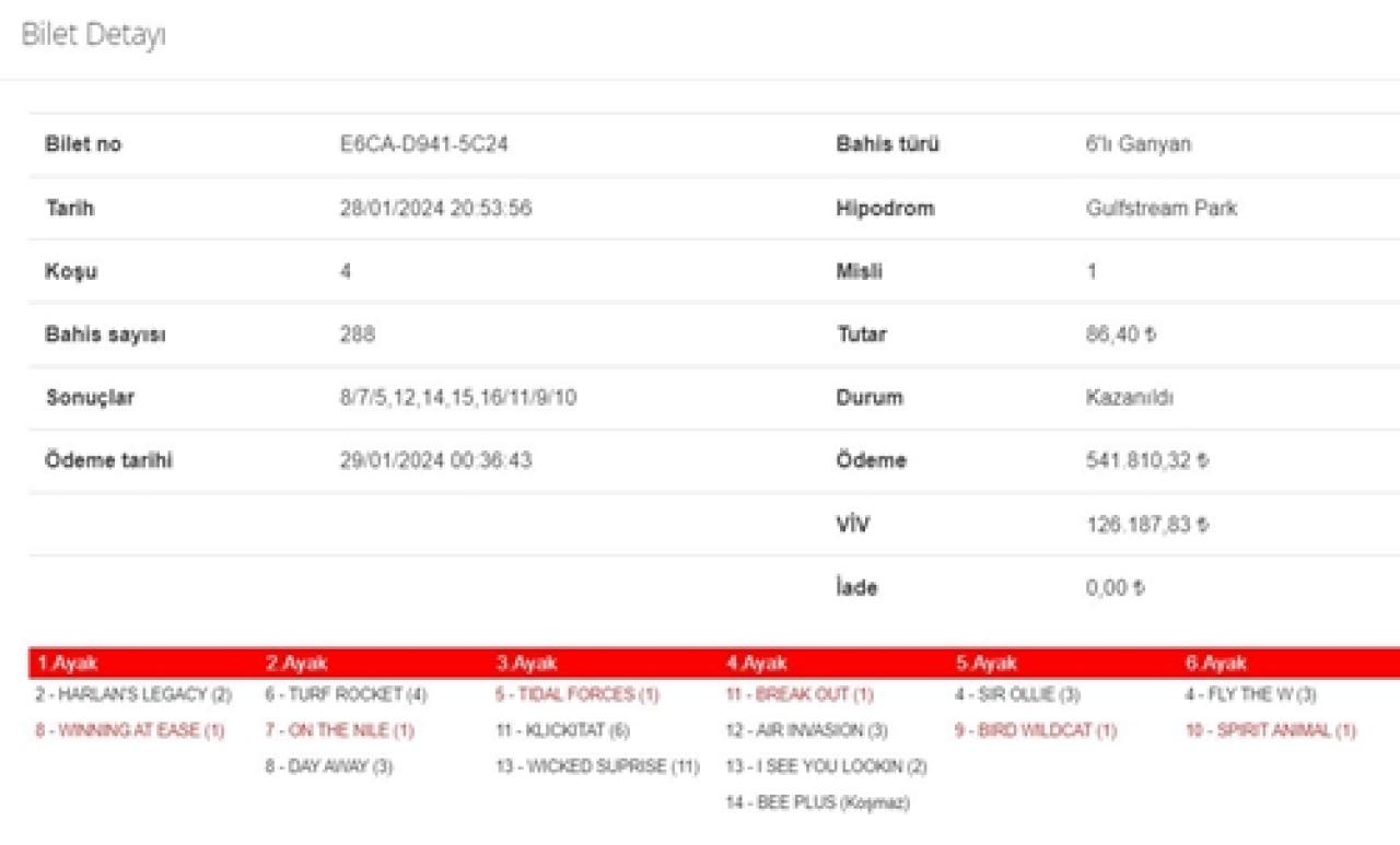 ABD Gulfstream Park’ta 2. 6’lı Ganyan’ı 2 kişi bildi