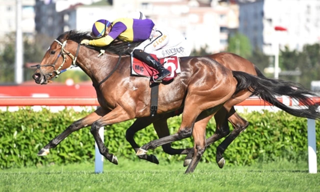 Merhum Asli Üyemiz Şerafettin Gedik'i saygıyla anıyoruz