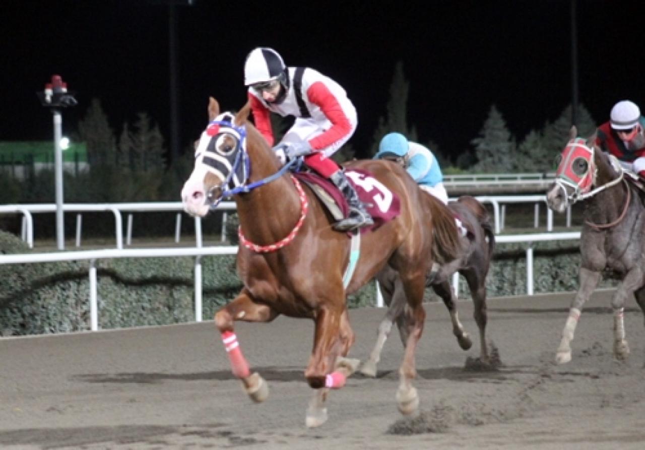 Göbeklitepe Koşusu’nda galibiyet Bozkara’nın oldu