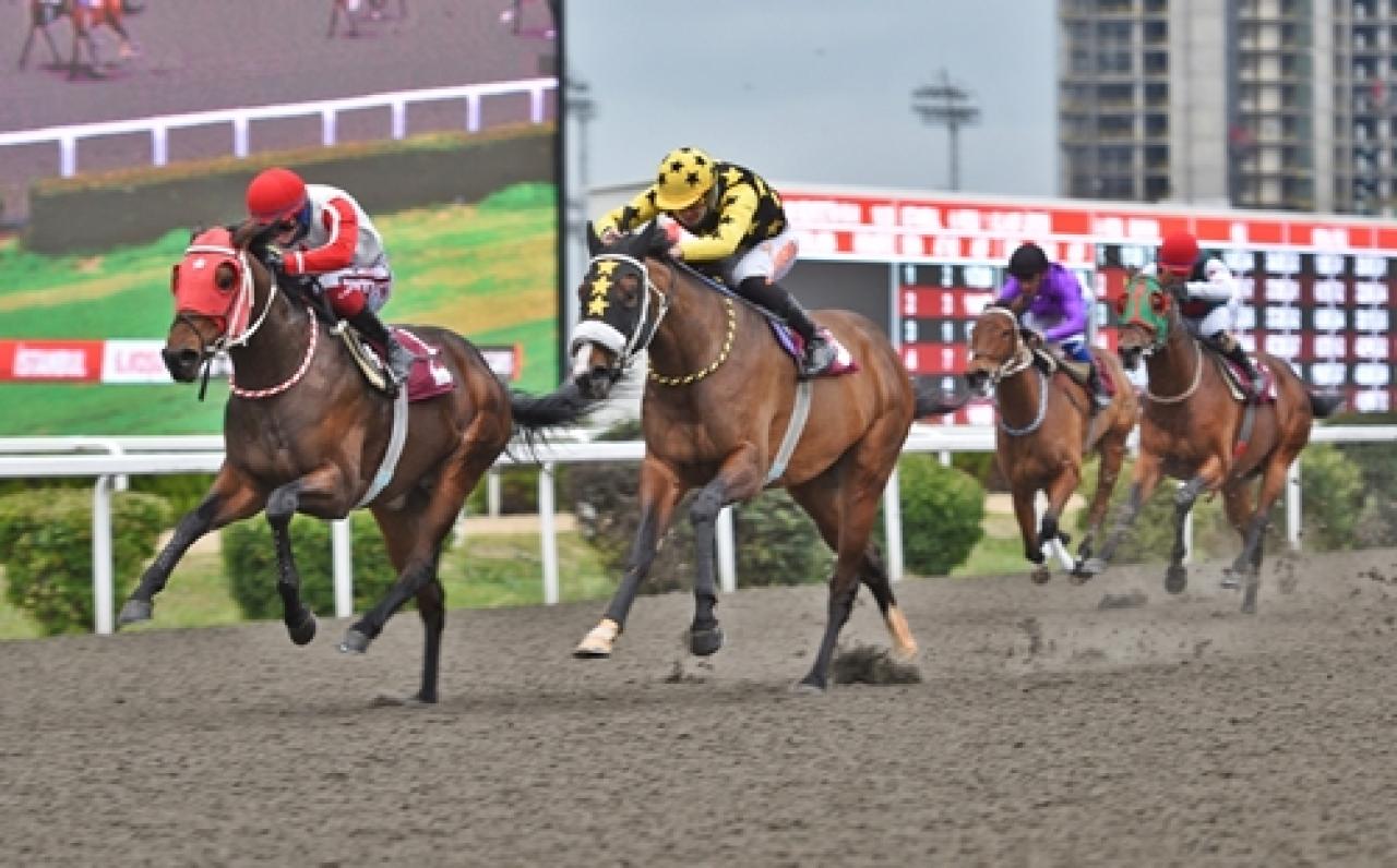 Şerafettin Gedik Koşusu'nu Dagmar kazandı