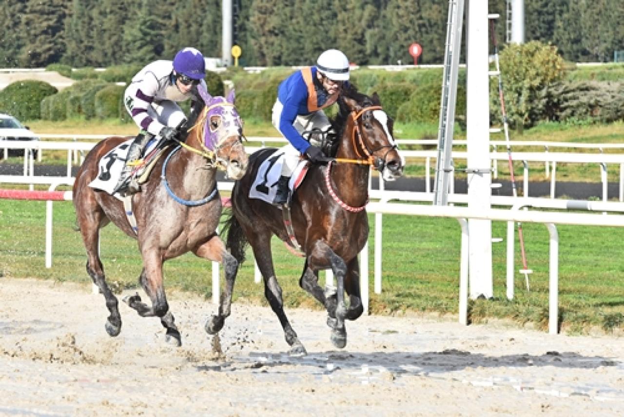Merhum Asli Üyemiz William Giraud'u saygıyla anıyoruz