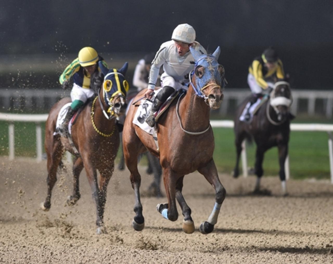 William Giraud Koşusu'nu Tachyon kazandı