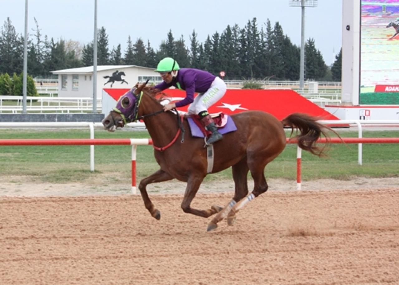 Anadolu Spor Gazetecileri Derneği Adana Şubesi Koşusu’nu Kalbimdesin kazandı