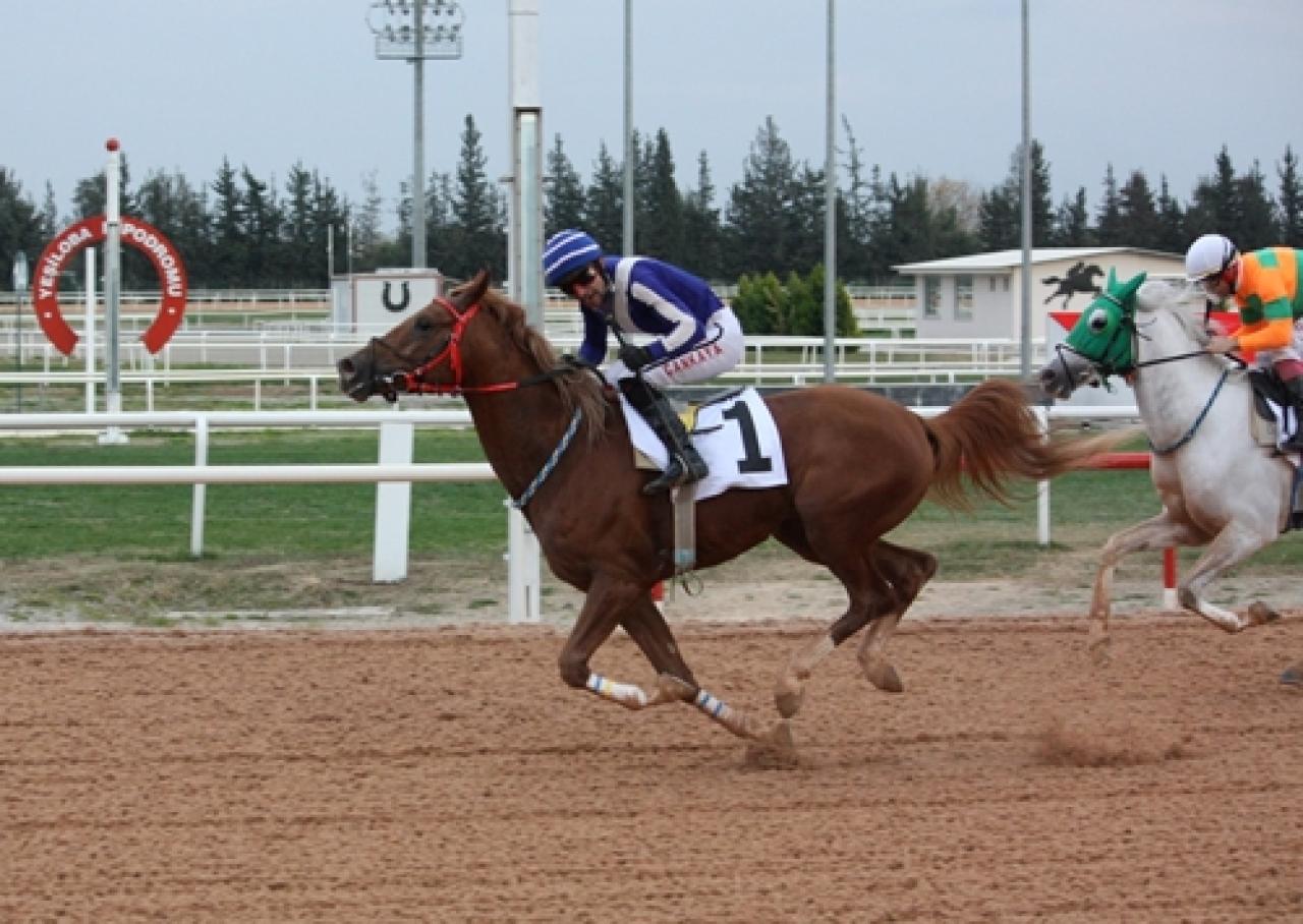 Misak-ı Milli Koşusu’nda zafere Canımkardeşim ulaştı