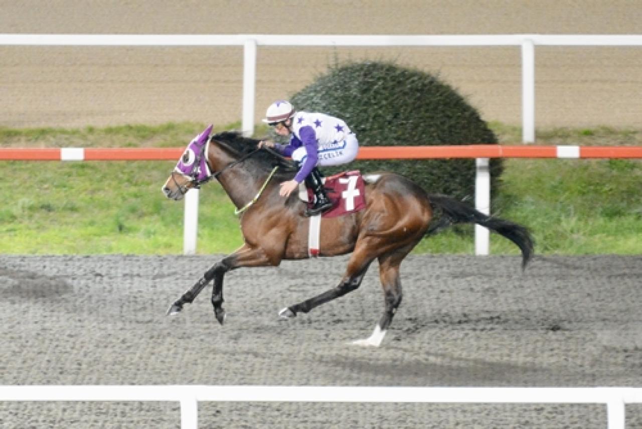 Aydın Tat Koşusu’nu Cool Star kazandı