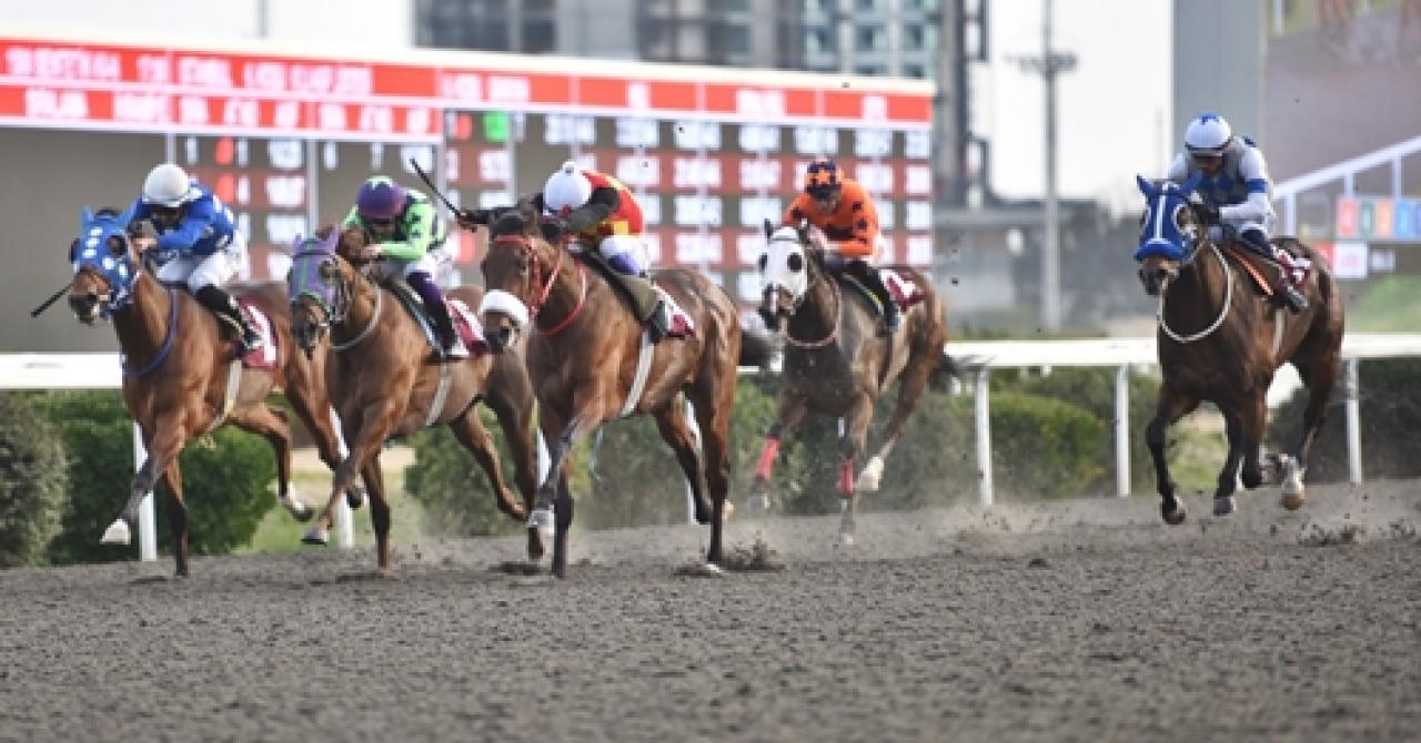 Burhan Şenemgen Koşusu'nu Pitfall kazandı