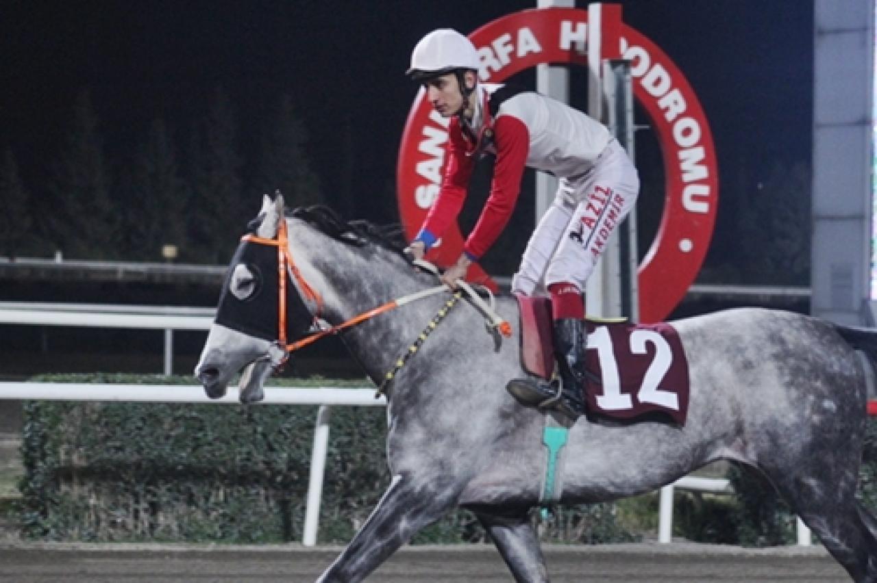 Mahmut Doğan Koşusu'nda kazanan Yarova oldu