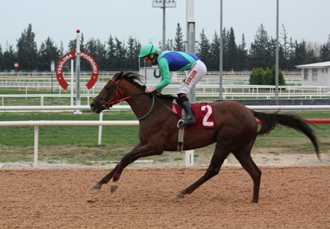 Osmaniye Belediye Başkanlığı Koşusu’nu Het Schip kazandı