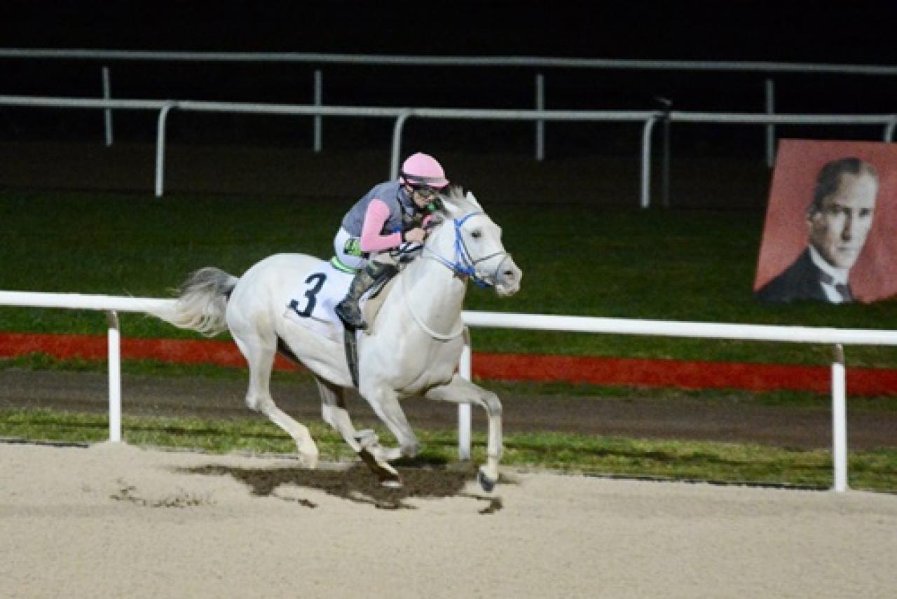 Kocaeli Vali Koşusu'nu Havza Aslanı kazandı