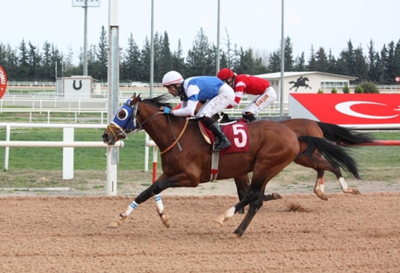 Yüreğir Belediyesi Koşusu’nda kazanan Tunçdağ oldu