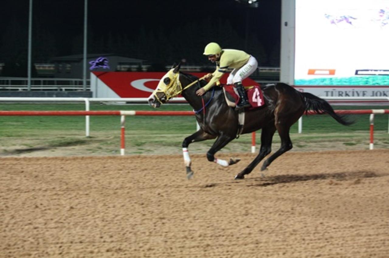 M. Fehmi Dinkçioğlu Koşusu'nu Ghost Cat kazandı