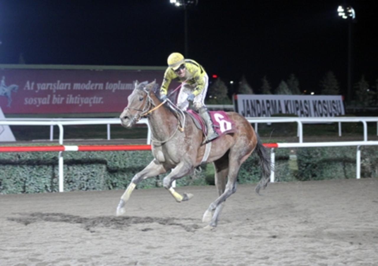 Şanlıurfa Jandarma Koşusu’nu Princess Beyza kazandı