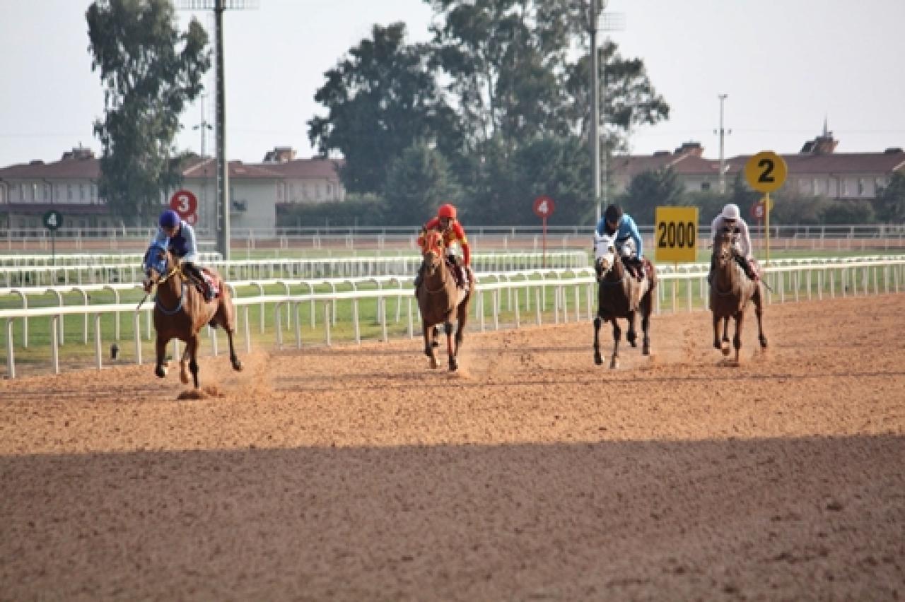 Çukurova Belediye Başkanlığı Koşusu'nu Wolf Seyfo kazandı