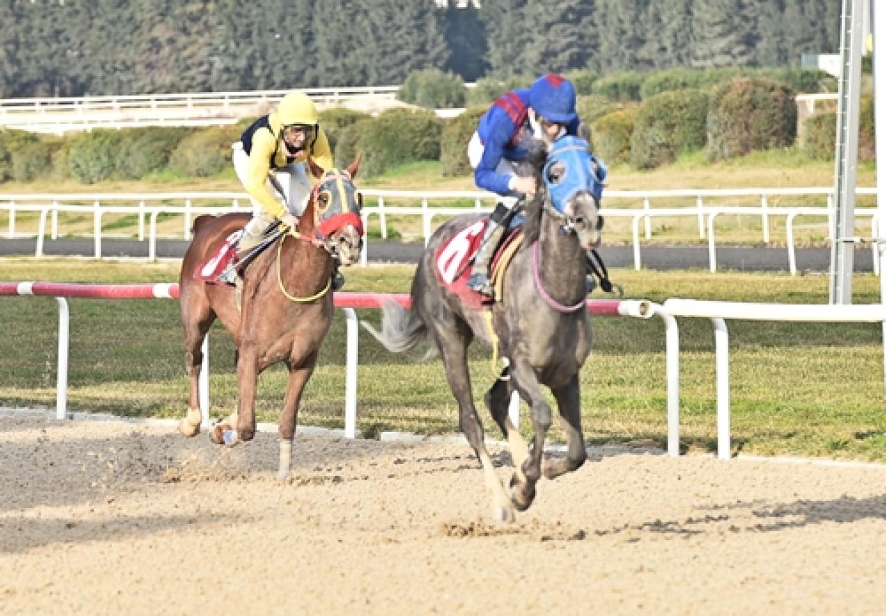 Merhum Asli Üyemiz Mehmet Turhan Oğan'ı saygıyla anıyoruz