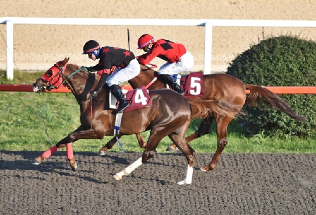Avrasya Ekonomi Zirveleri Koşusu'nu Öztekbey kazandı