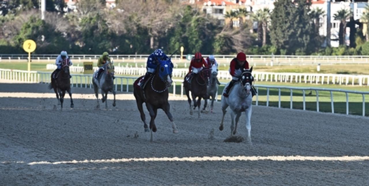 M. Turhan Oğan Koşusu'nu Büyükdünya kazandı