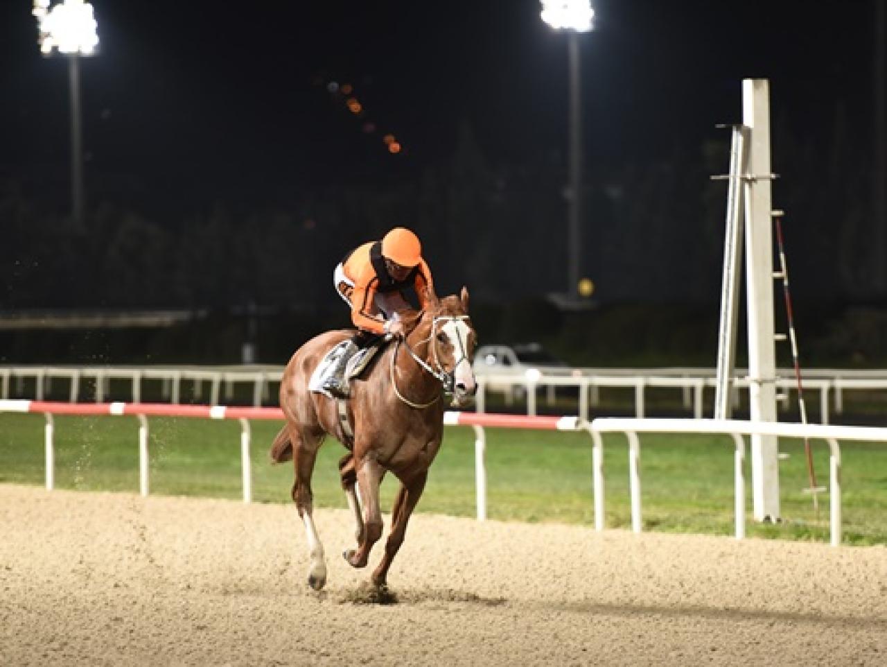 9 Eylül Koşusu'nu Wardenclyffe kazandı