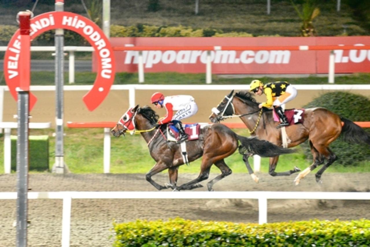 Nuri Midillili Koşusu’nu Dagmar kazandı