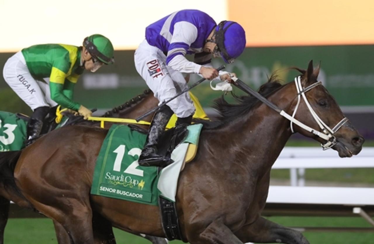Dünyanın en yüksek ikramiyeli yarışı G1 Saudi Cup’ı Senor Buscador kazandı