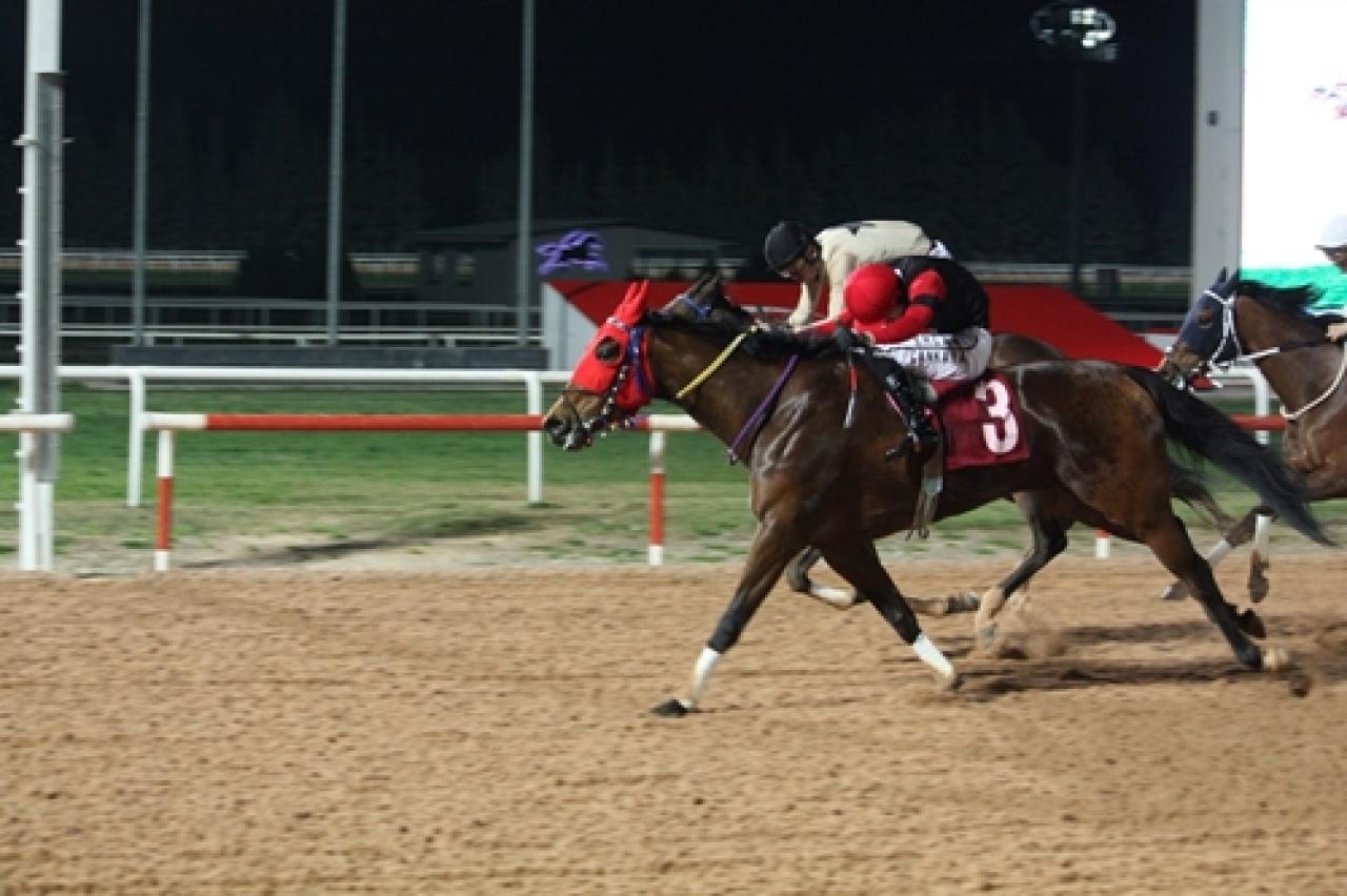 Kemal Özekici Koşusu’nu Guillotine kazandı