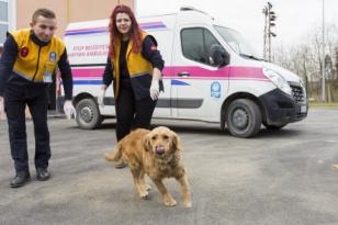 Eyüpsultan'da her can kıymetli