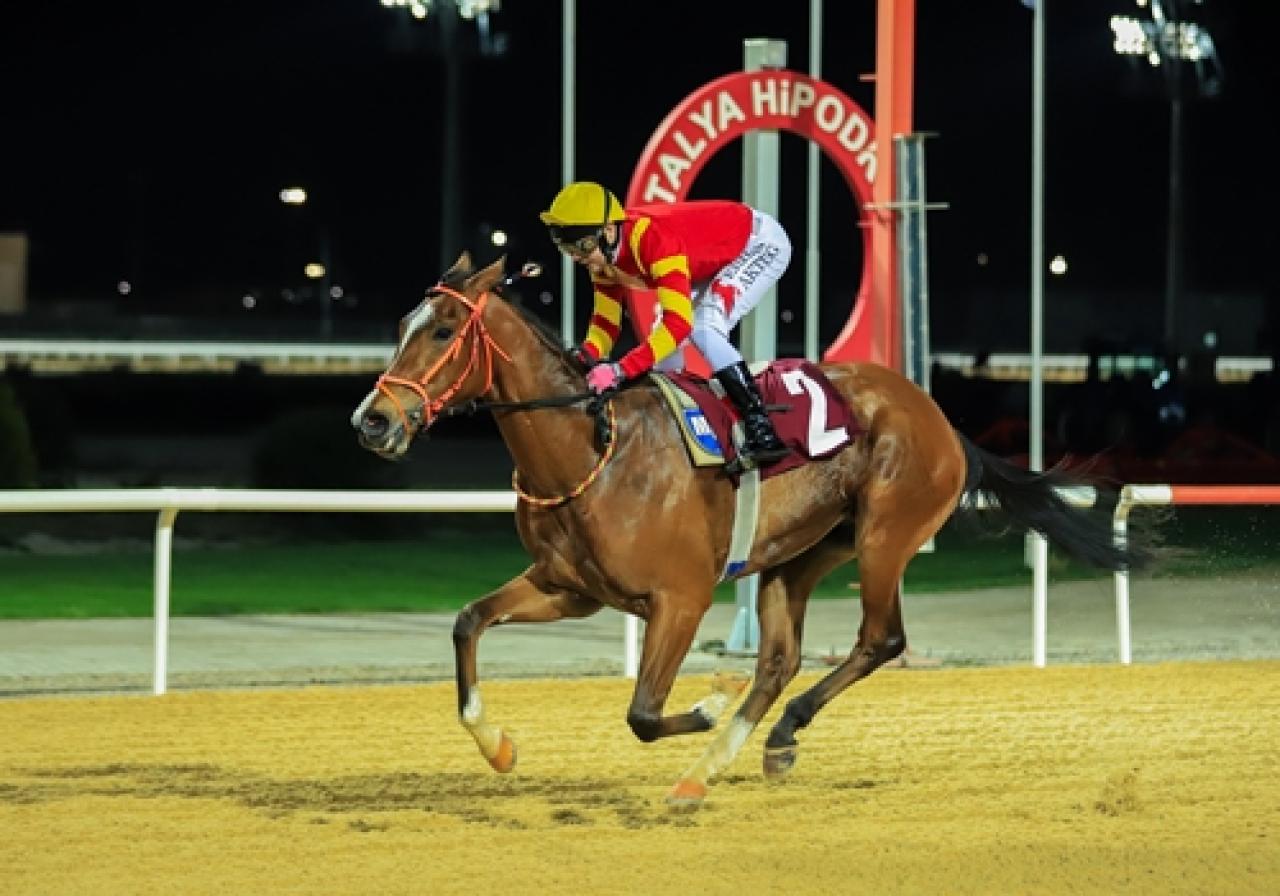 Antalya Jandarma Koşusu’nu Dragon Flame kazandı