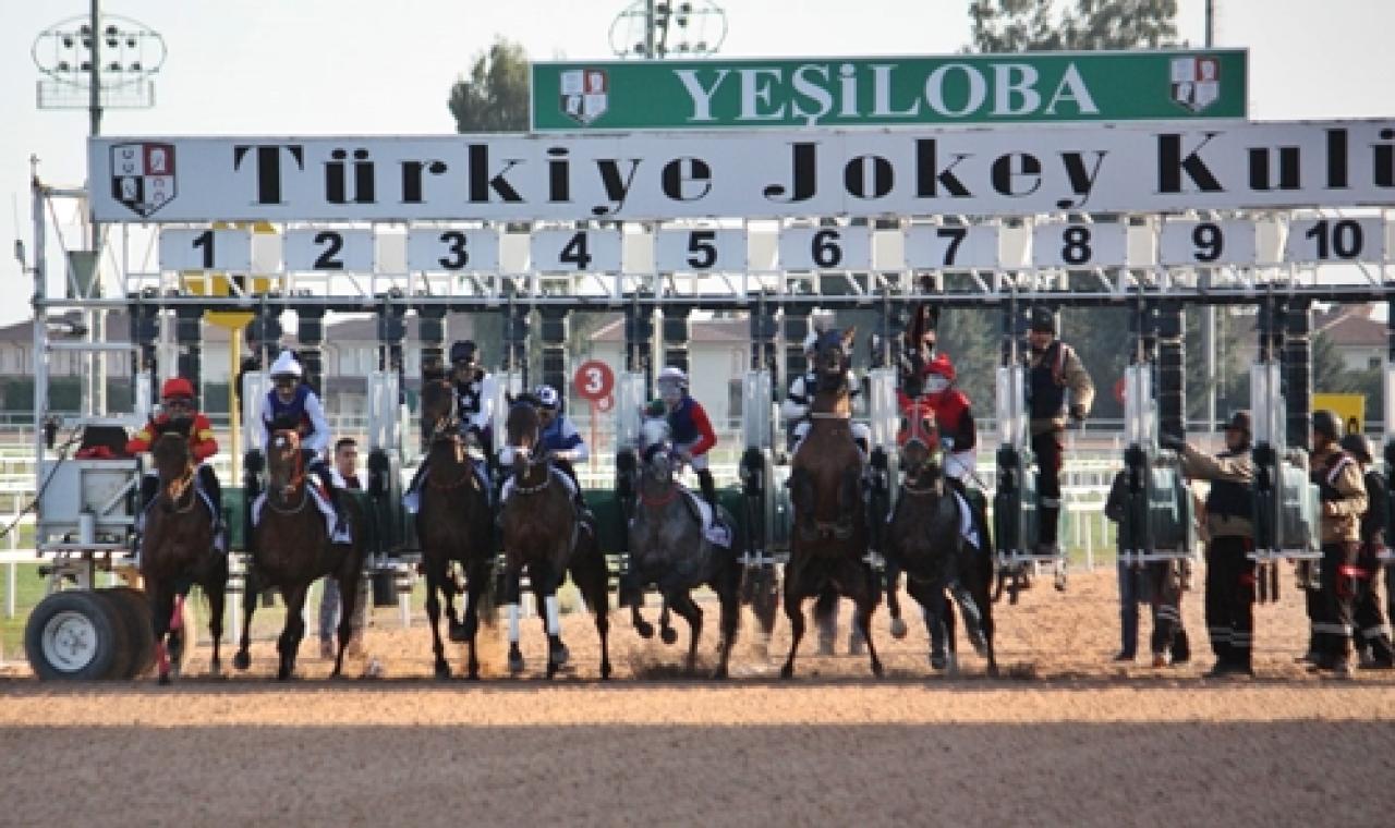 Adana'daki G3 koşuyu Countach kazandı