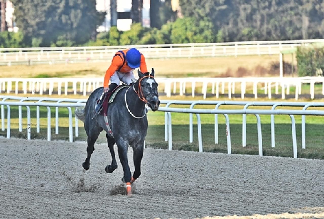 Merhum Asli Üyemiz Osman Kapani’yi saygıyla anıyoruz