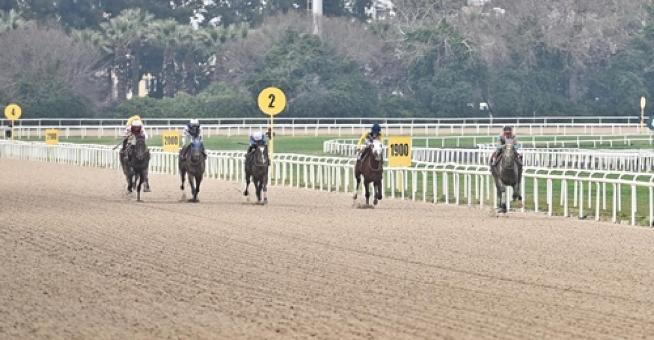 Osman Kapani Koşusu'nu Vaiz kazandı