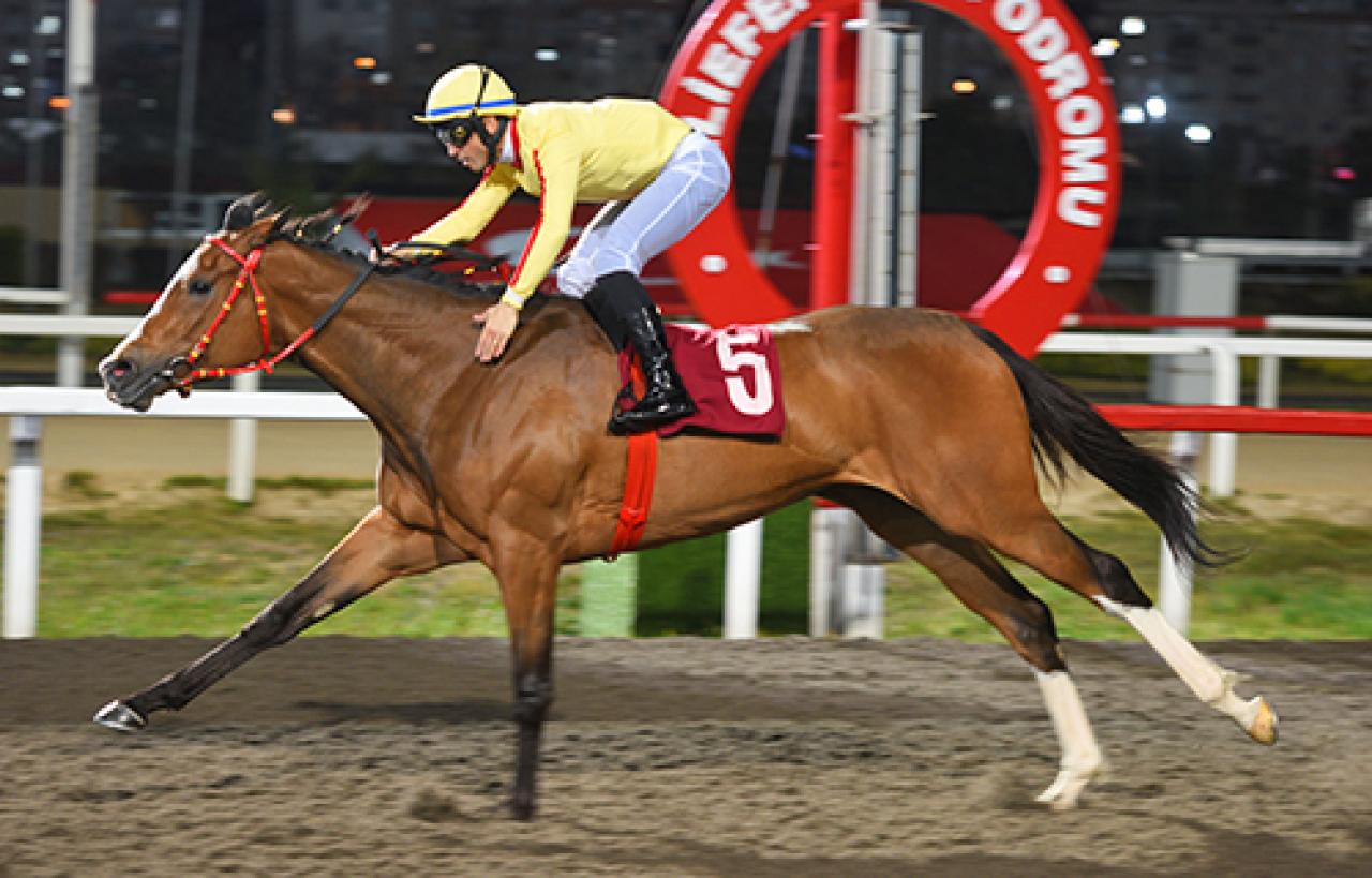 Merhum Asli Üyemiz Reha Eken'i saygıyla anıyoruz