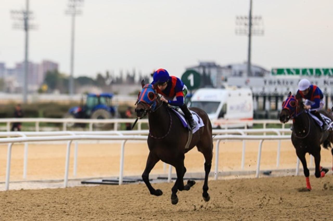 Antalya'daki G3 koşuyu Extraction kazandı